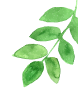 Leaf Decoration Right