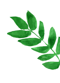 Leaf Decoration Right